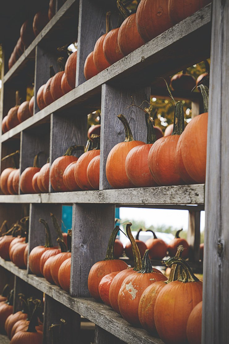 scary holidays holiday carving halloween pumpkin spooky food shelves shelf