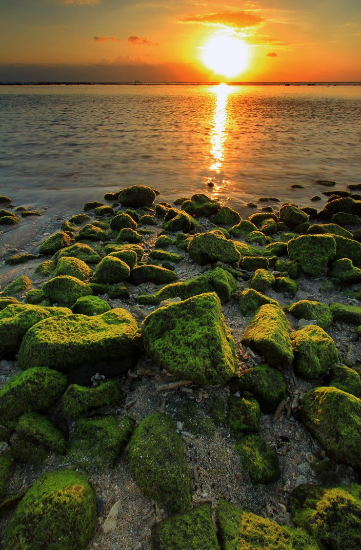 sky sun sunny afternoon beach rocks stones sea ocean nature algae