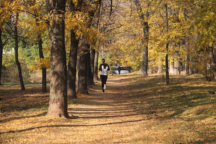 sport sports health running run jogging workout training healthy fit fitness fall autumn forest park
