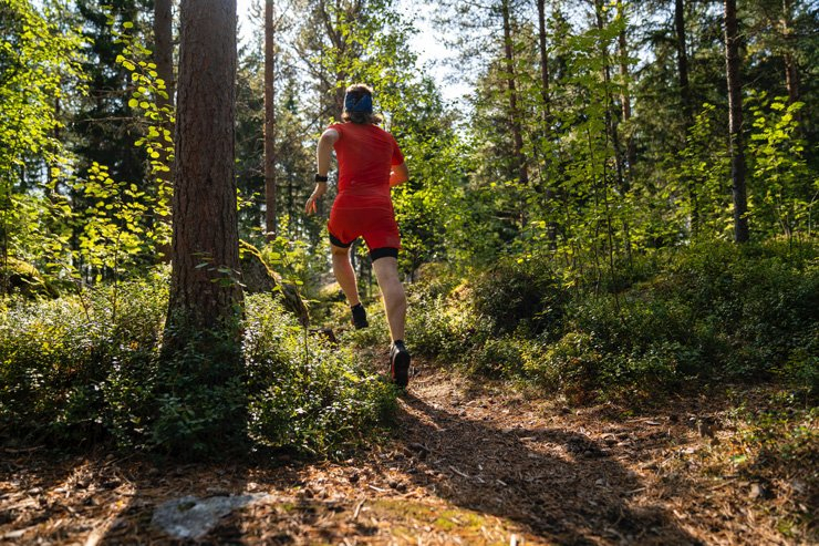sport sports health running run jogging workout training healthy forest