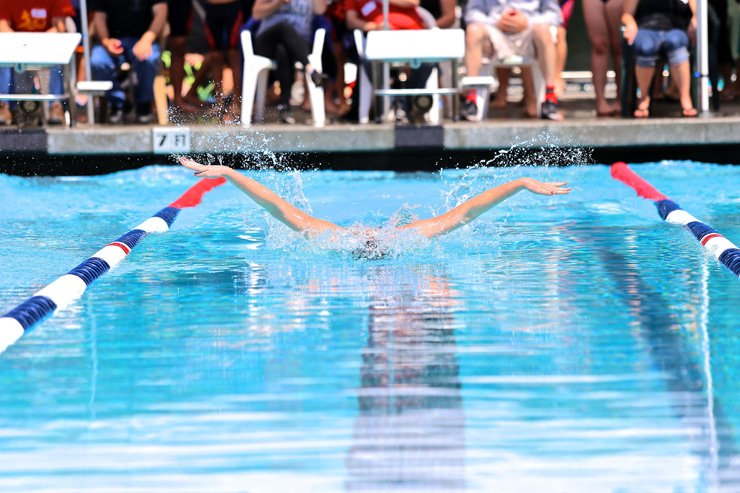 sport swim swimming sports race racing olympics water pool athlete