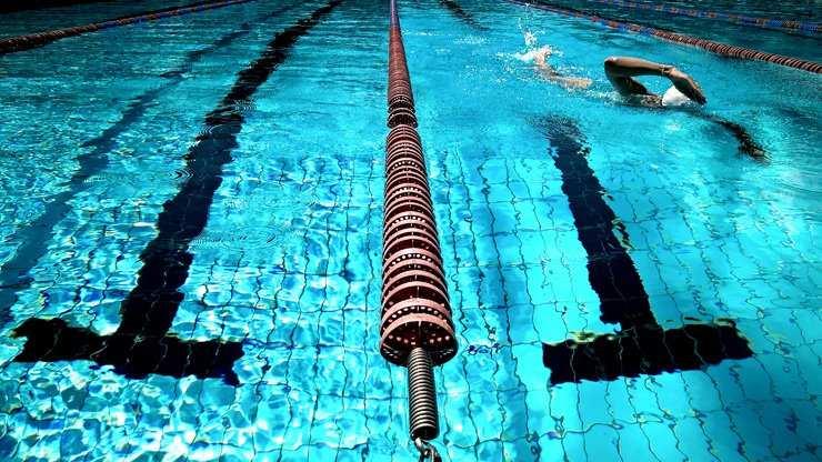 sports swimming race water sport swim racing olympics pool athlete
