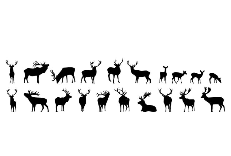Deer silhouette hunting silhouettes pack