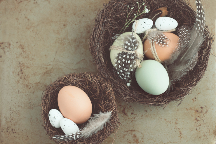 Eggs Nest