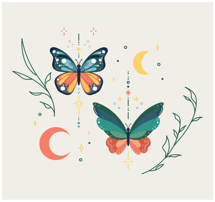 flat design vector beautiful elegant butterfly drawing illustration