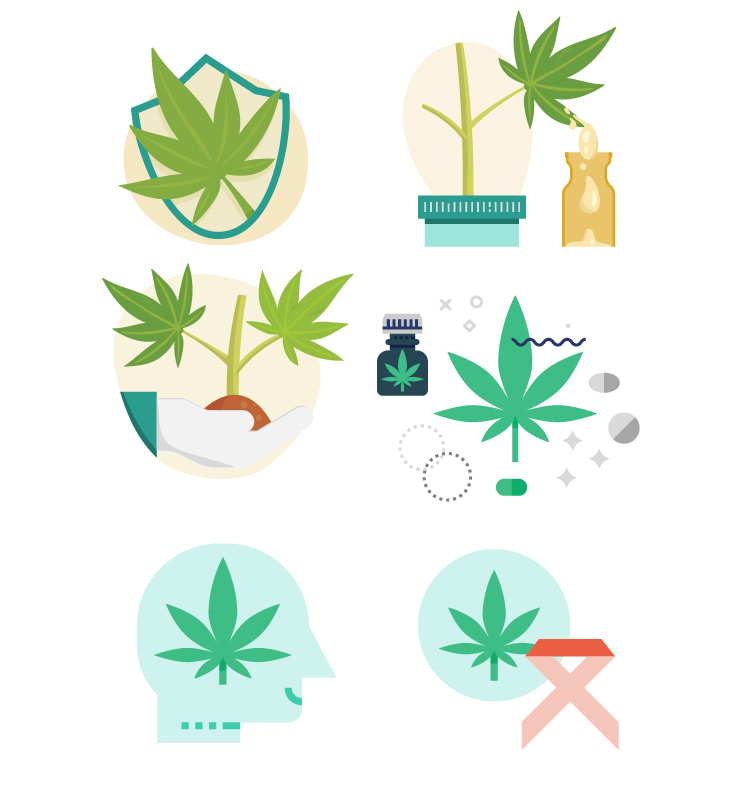 Cannabis Drugs Medical