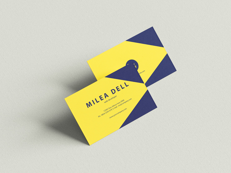 minimal elegant modern business card