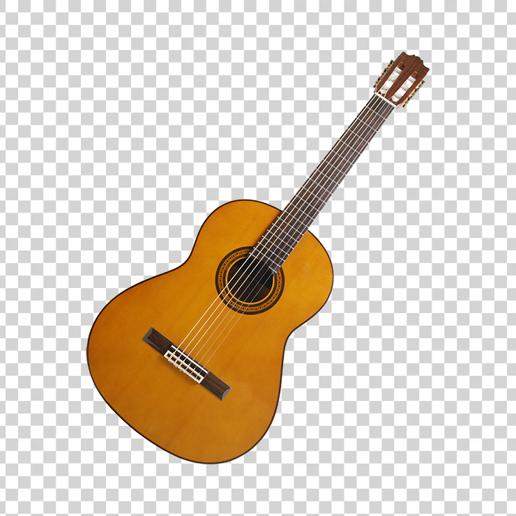 Acoustic Guitar 25