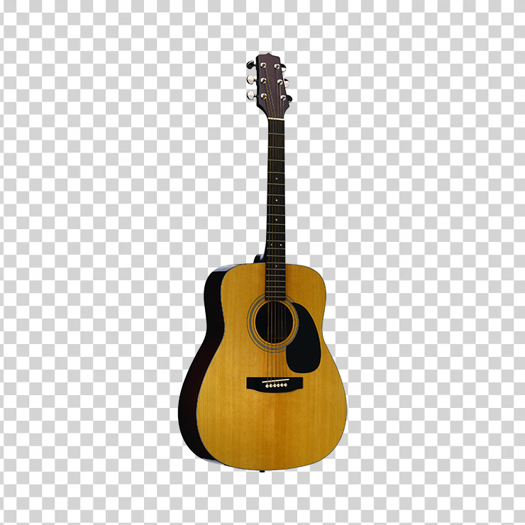 Acoustic Guitar 31