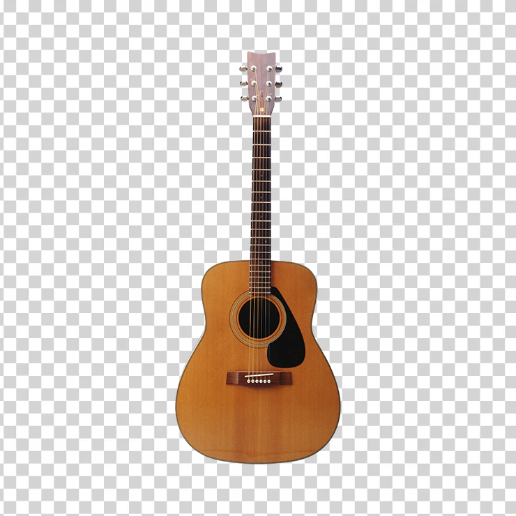 Acoustic Guitar 36