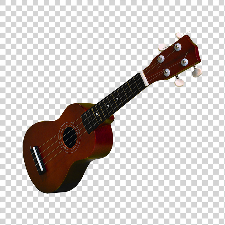 Acoustic Guitar 37