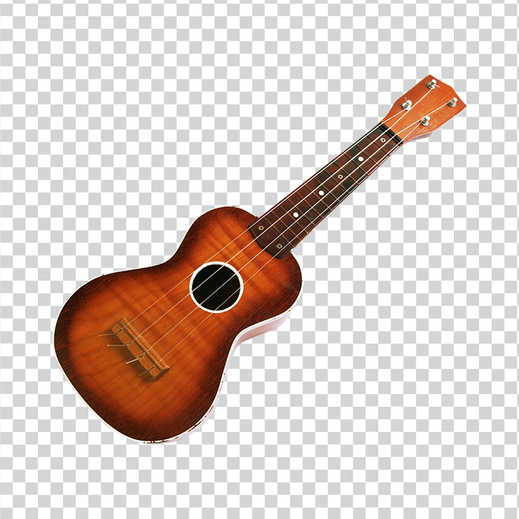 Acoustic Guitar 46