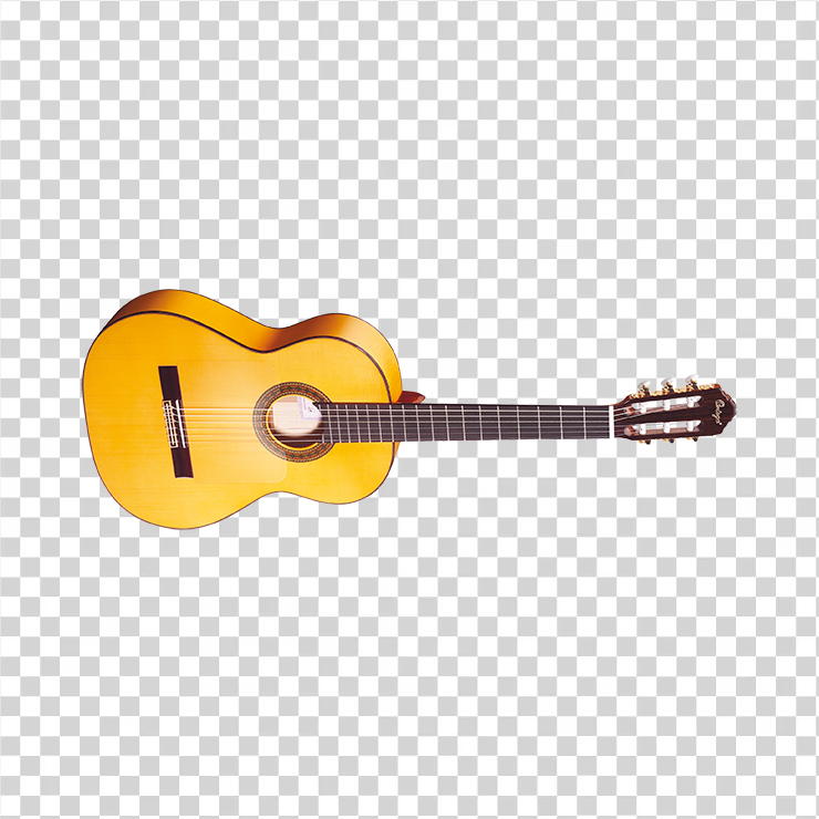 Acoustic Guitar 8