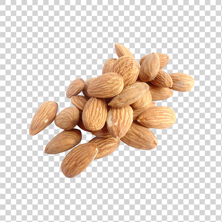 Almond Nut