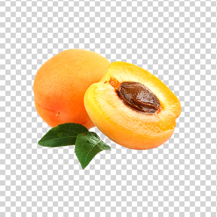 Apricot 16