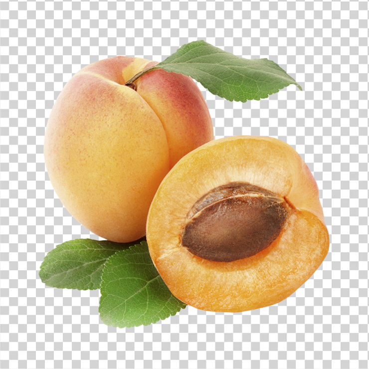 Apricot 22