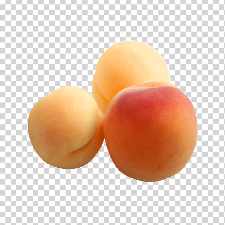 Apricots In Closeup