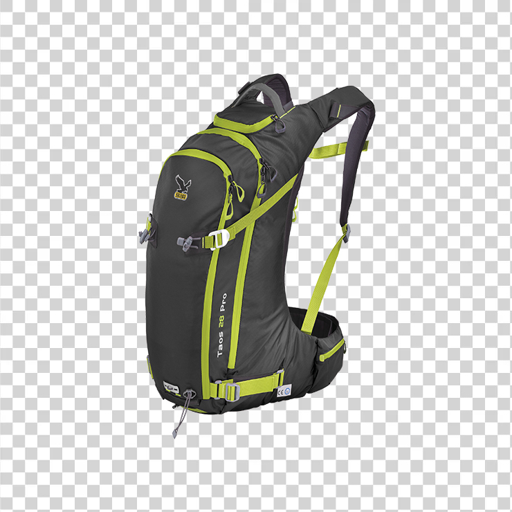Backpack 29