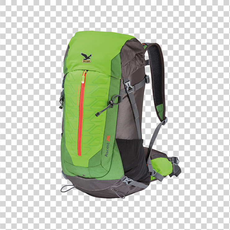 Backpack 31