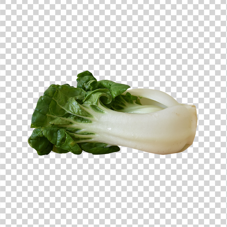 Bokchoy 1