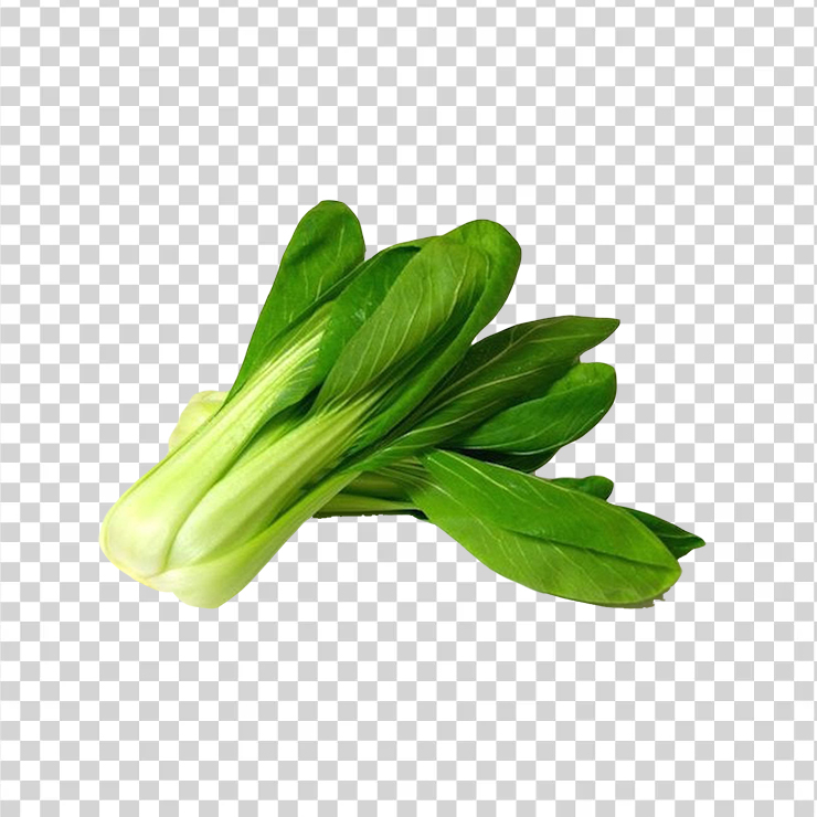 Bokchoy 121