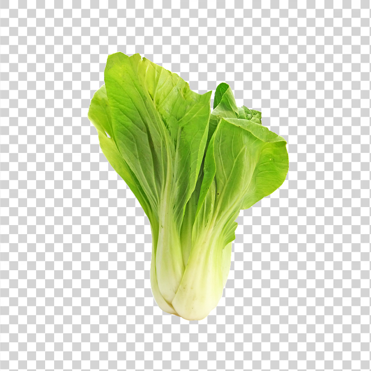 Bokchoy 2