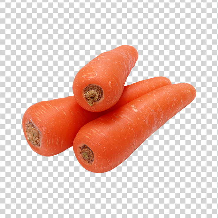Carrot 13