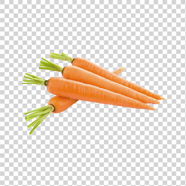 Carrot 17