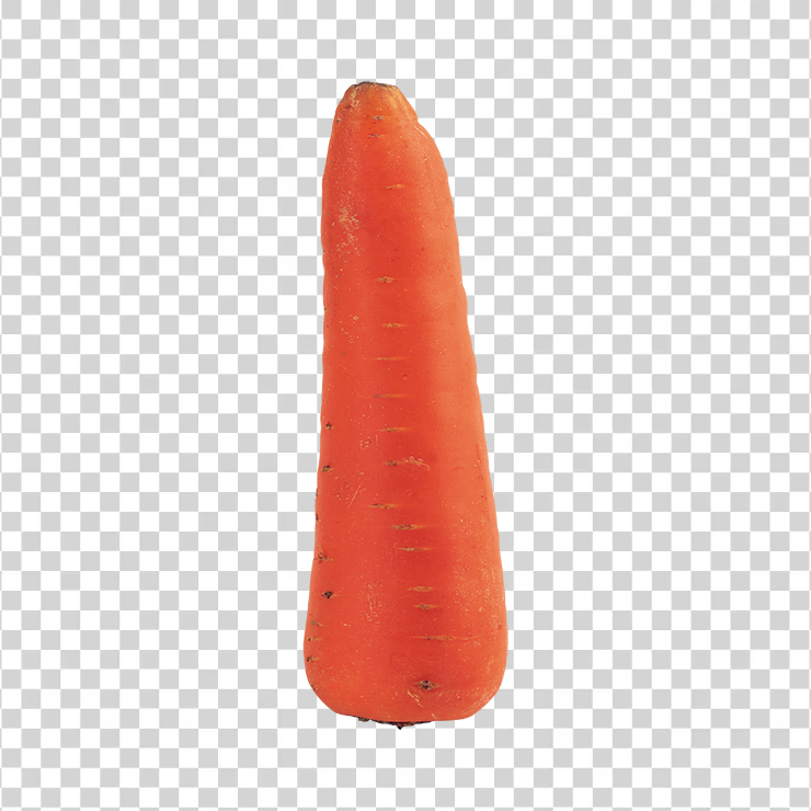 Carrot 9