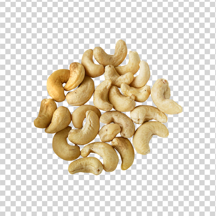Cashew Nut 114