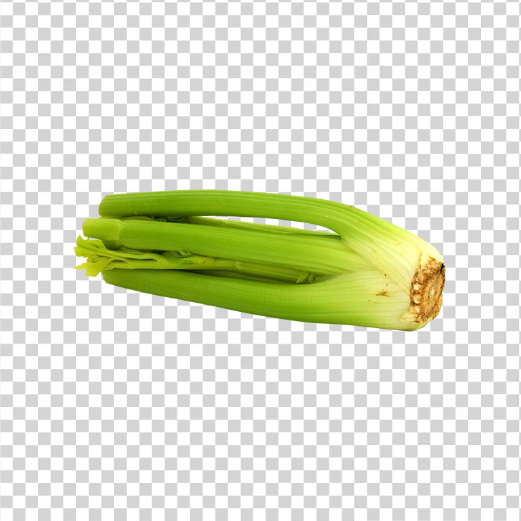 Celery 58