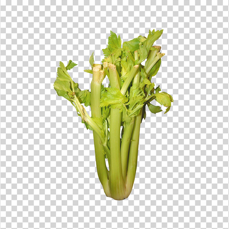Celery 1561