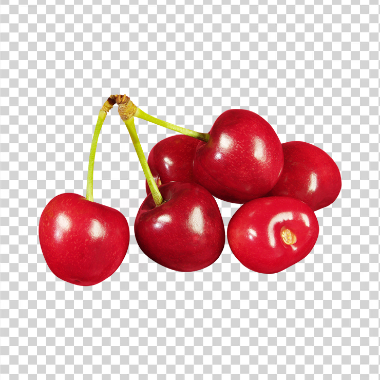 
									Cherry 31