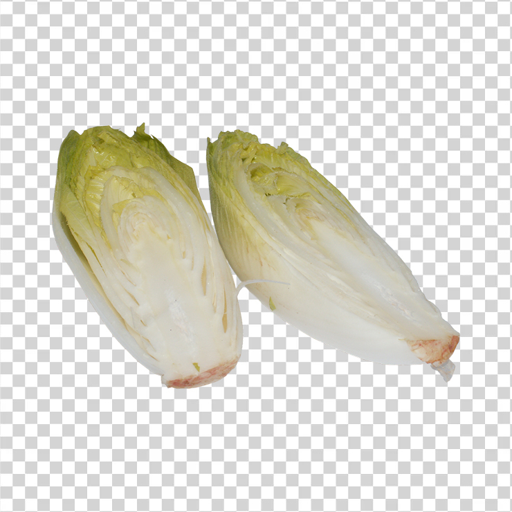 Chicory 2