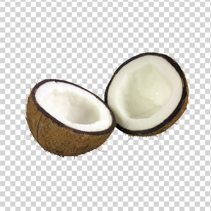 Coconut 11