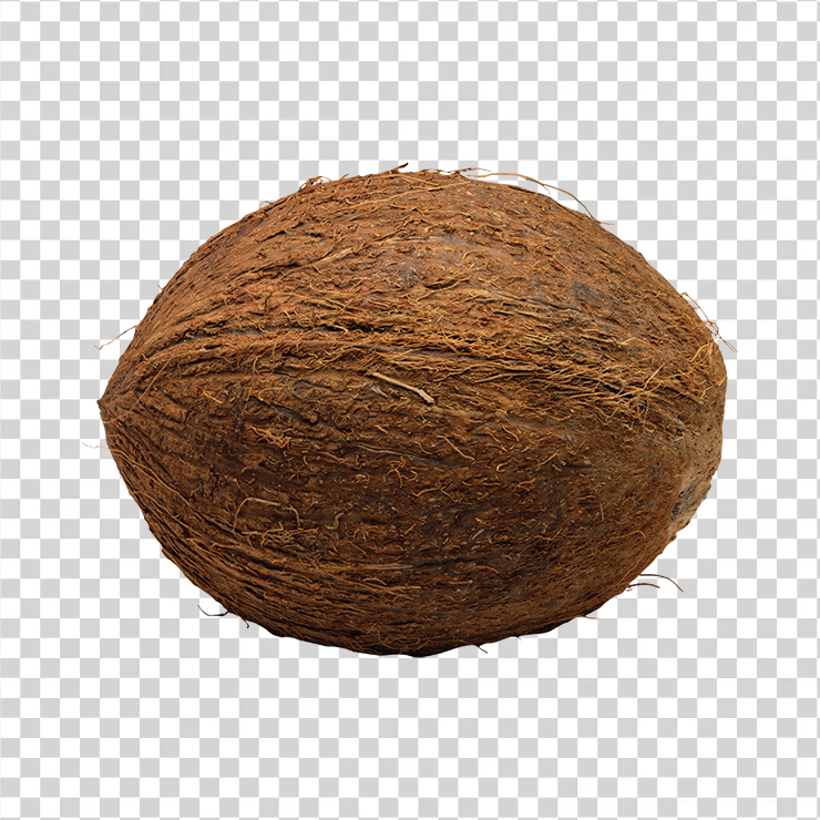 Coconut 4