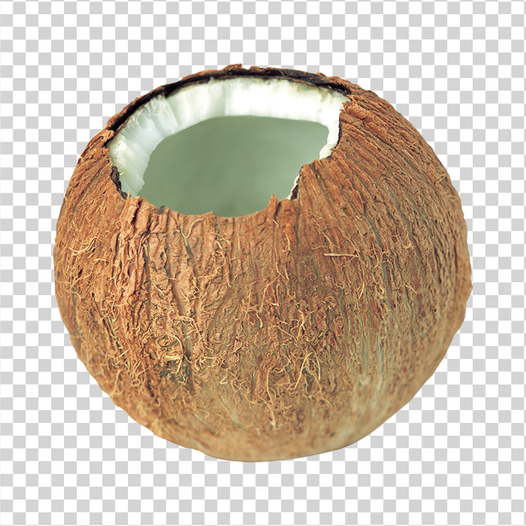 Coconut 5