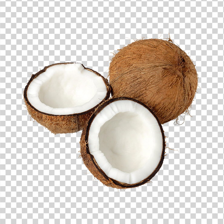 Coconut 6