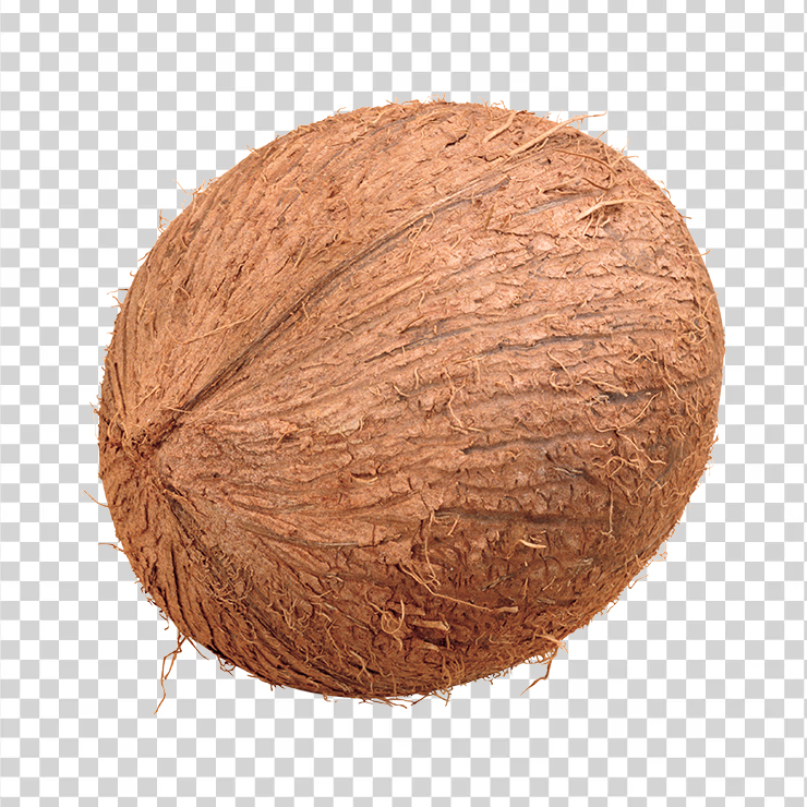 Coconut 7