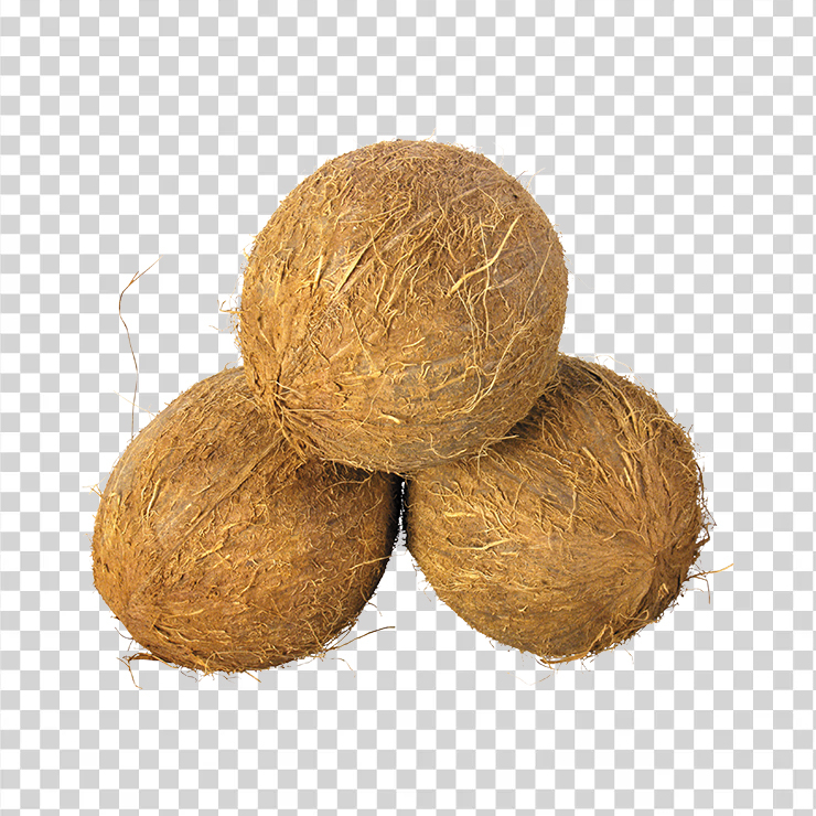 Coconut 9