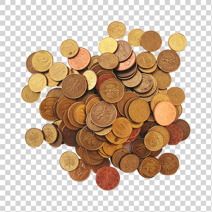 Coin 5