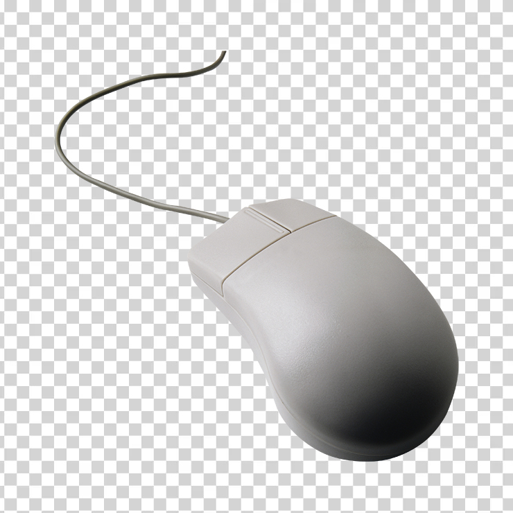 Computer Mouse 30