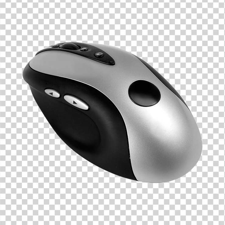 Computer Mouse 31