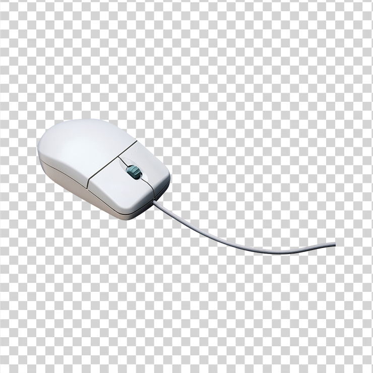 Computer Mouse 32