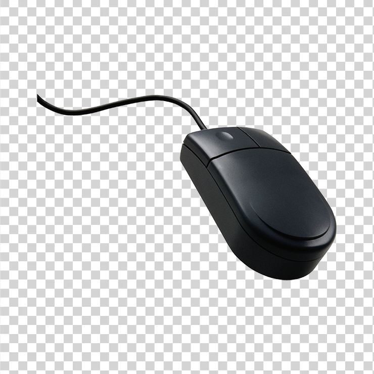 Computer Mouse 35