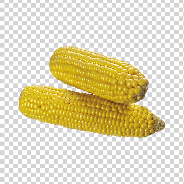 Corn 10