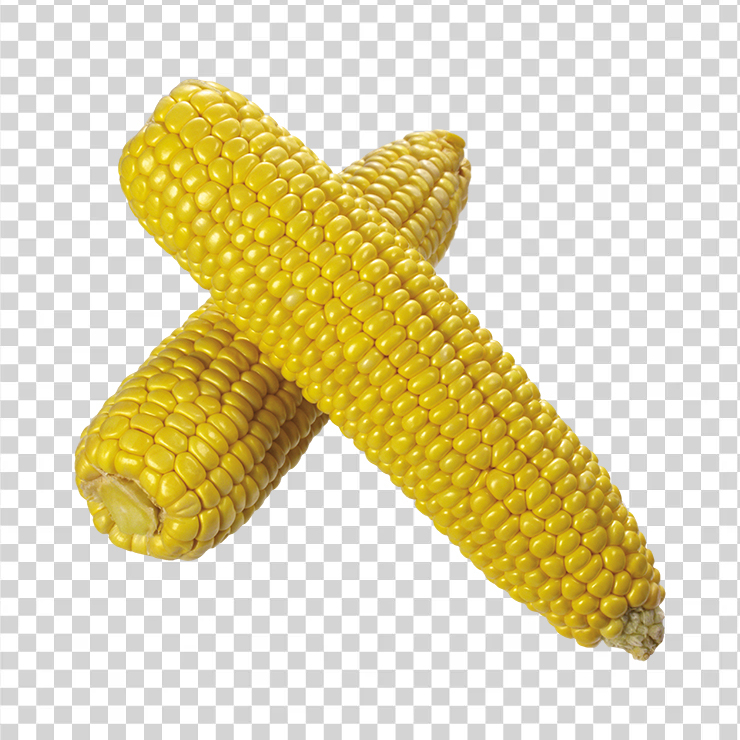 Corn 11