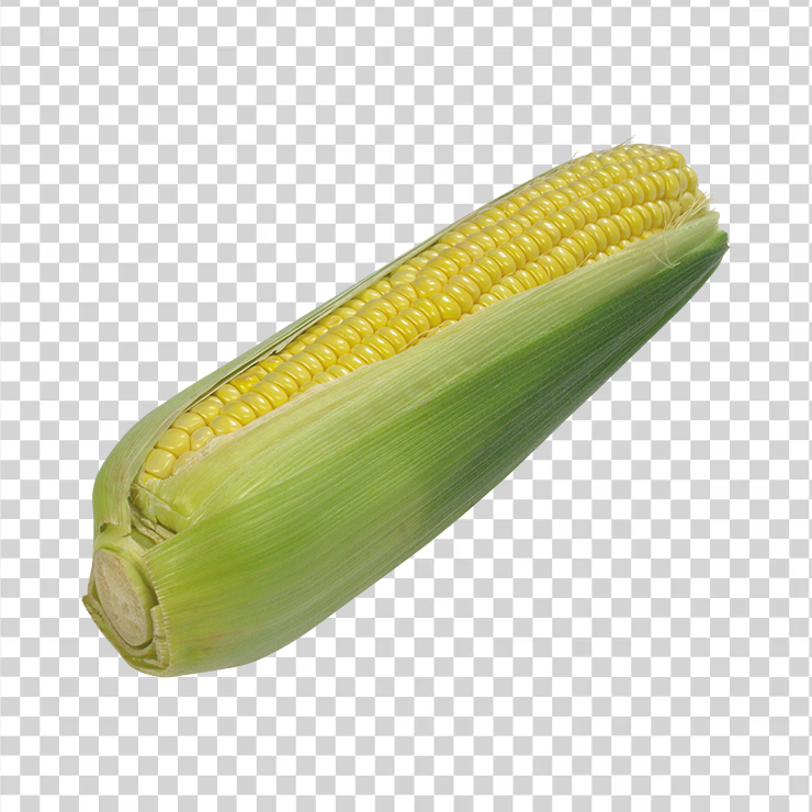 Corn 17