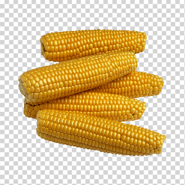 Corn 27