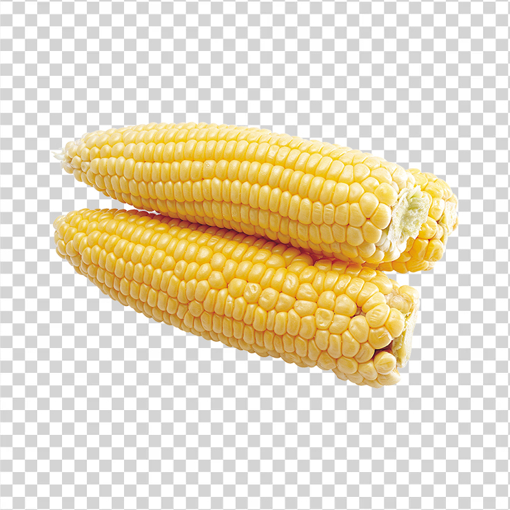 Corn 31